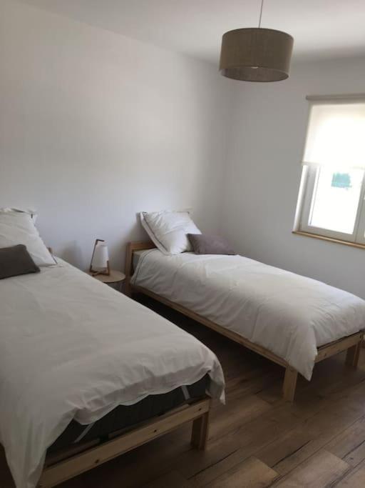 Gite Lumineux Et Confortable Dans Un Mas Provencal Courthezon ภายนอก รูปภาพ